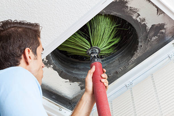 Best Ventilation System Cleaning in Nellis Af, NV